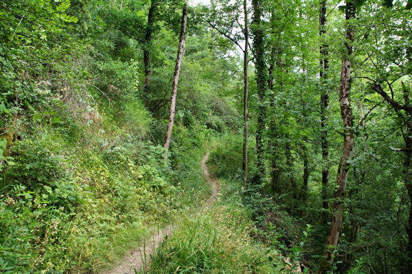 Le GR65B au Muret
