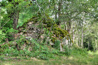 Une cazelle sur Le Chemin du Pech