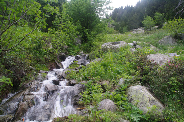 Le torent descendant de la valle de Forcau