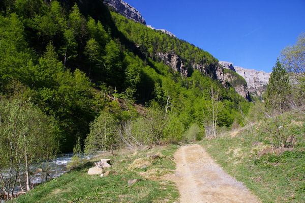 La valle d'Arazas