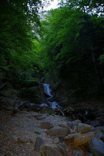 Un petit torrent qui descend de la Fraucata