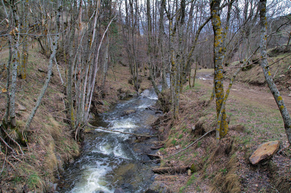 Le Riu de Targasona