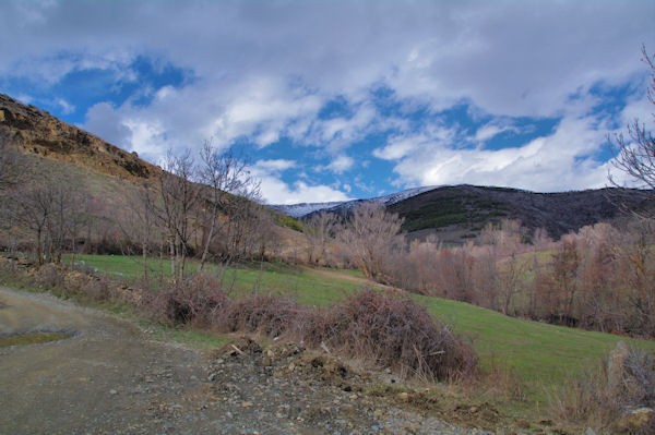 Le vallon du Riu de Targasona