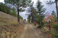 En montant au Puig de Llivia