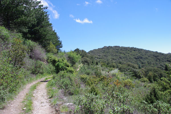 Le chemin sous le flanc Sud du Roc de l_Aigle