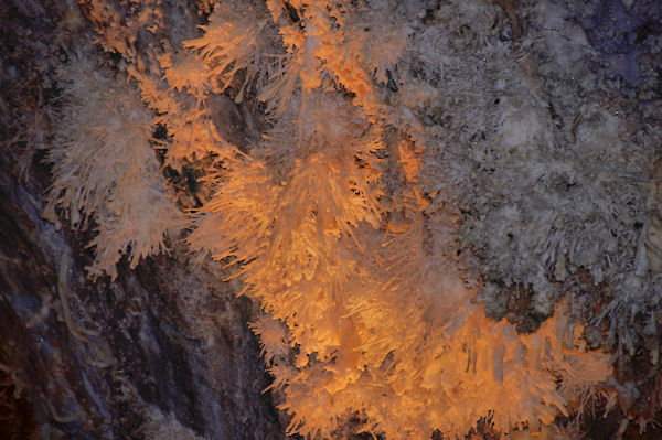 Aragonites au gouffre de Cabrespine