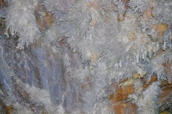 Aragonites au gouffre de Cabrespine