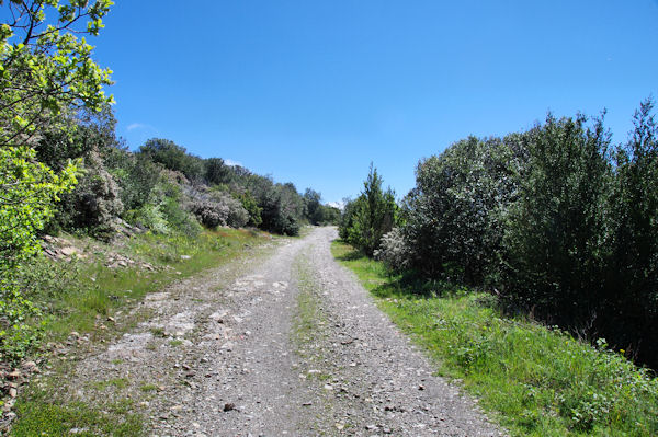 Le chemin vers Matte Arnaude