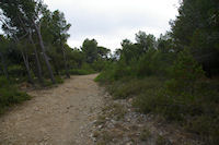 Chemin transversal menant au Rec d'Argent