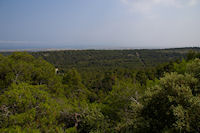 Vue vers Gruissan depuis le Plateau de Notre Dame