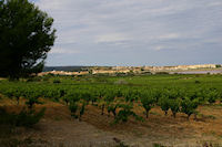 Vue de Gruissan depuis Penelle sur l'Ile St Martin