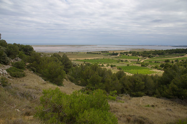 Vue des Salins de Gruissan depuis Gamare