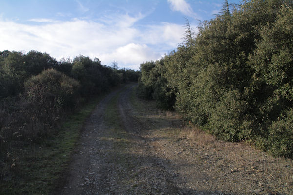 Le chemin remontant vers la chapelle St Julien