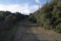 Le chemin remontant vers la chapelle St Julien