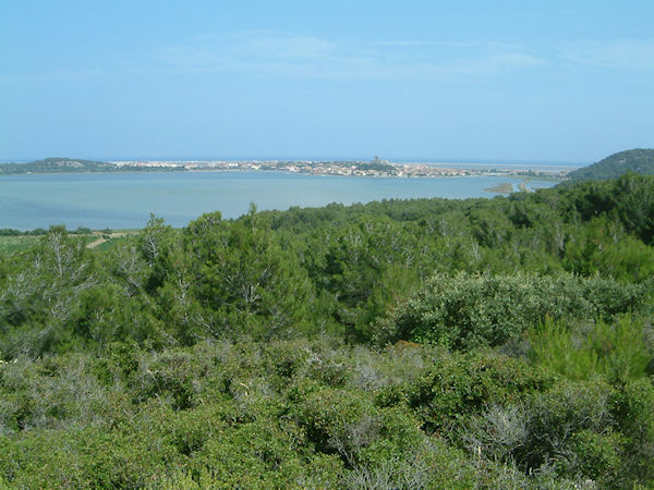 Gruissan et son tang depuis Capoulade