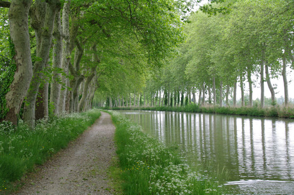 Le Canal du Midi  La Peyruque