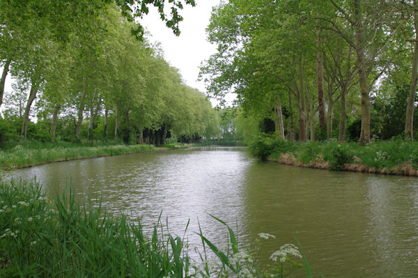 Le Canal du Midi vers le Petit St Simon