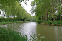 Le Canal du Midi vers le Petit St Simeon