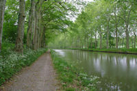 Le Canal du Midi en aval de l'ecluse de Gay