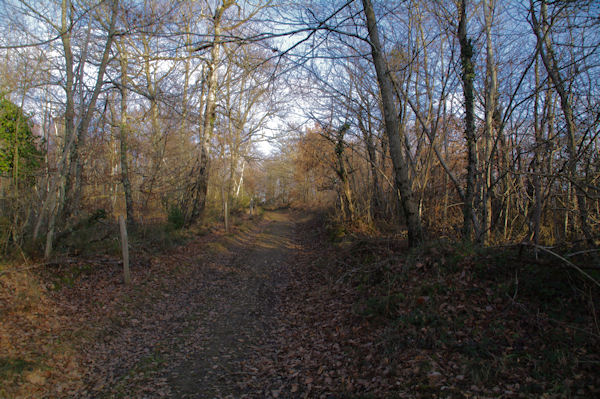 Le chemin montant  Roques
