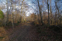 Le chemin montant a Roques