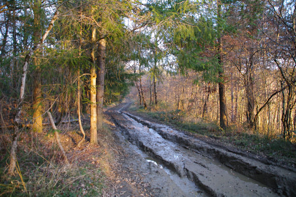 Le chemin boueux vers la Bac