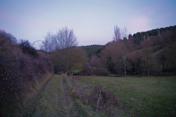 Le chemin dans le vallon du ruisseau de Limoux