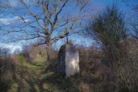 Sur le chemin de la Chapelle du Calvaire