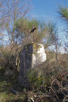 Sur le chemin de la Chapelle du Calvaire