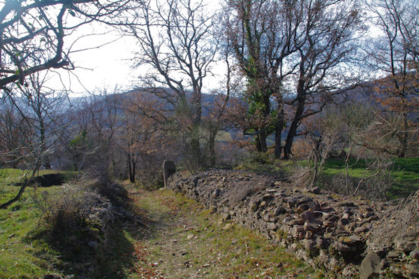 Le chemin de la Chapelle du Calvaire