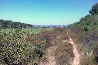 Le sentier de la Combe des Couleuvres, au fond, Narbonne