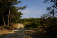 Le chemin vers la bergerie ruine de La Garde