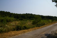 La vigne sous la Combe de Lavit