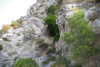 Une grotte dominant la Combe de Lavit