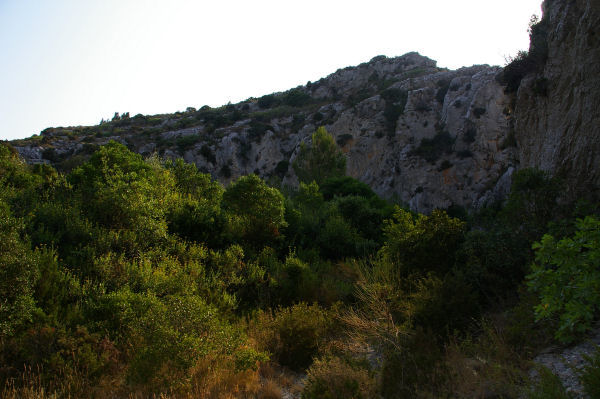 Le haut de la Combe de Lavit