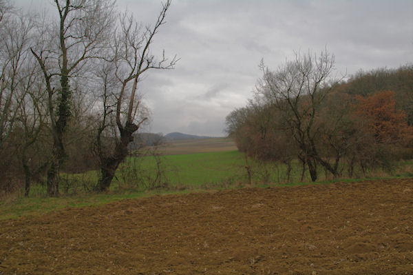 Le vallon du ruisseau de Fixige