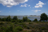 L'etang de Bages et de Sigean