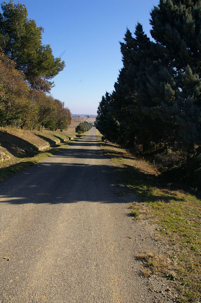 La voie Romaine secondaire des Romieux