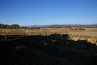 Paysage de vignes vers Les 3 eaux