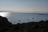 L'Etang de l'Ayrolle et l'Etang de Bages