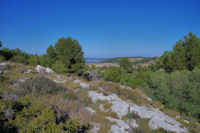 Au loin , l'etang de Gruissan