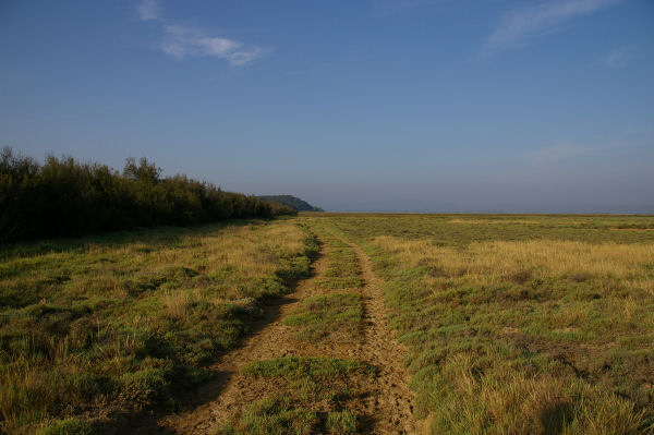 Le dpart du chemin vers l'tang de Campignol