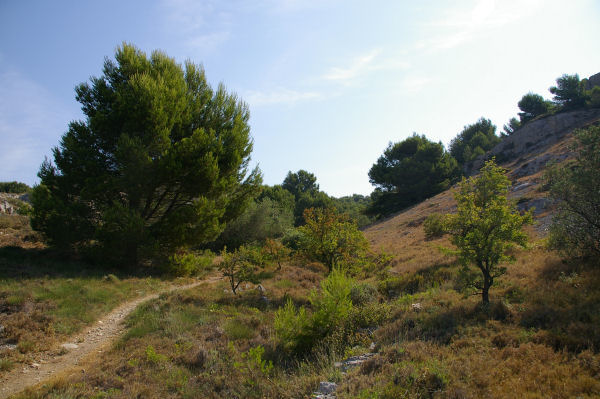 Le dpart de la Combe de l'Abeille