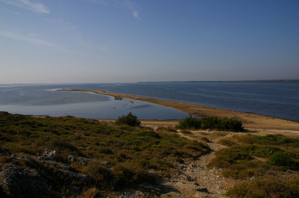 La pointe de Grve depuis Aire