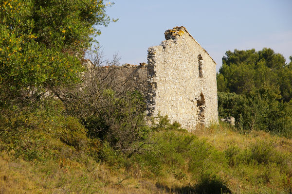 Maison ruine  La Plaine