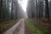 Le chemin aux Bruyres des Augers