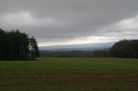 Un peu de verdure dans la grisaille en revenant sur Malouzis