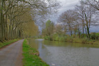 Le Canal du Midi vers Bonntis