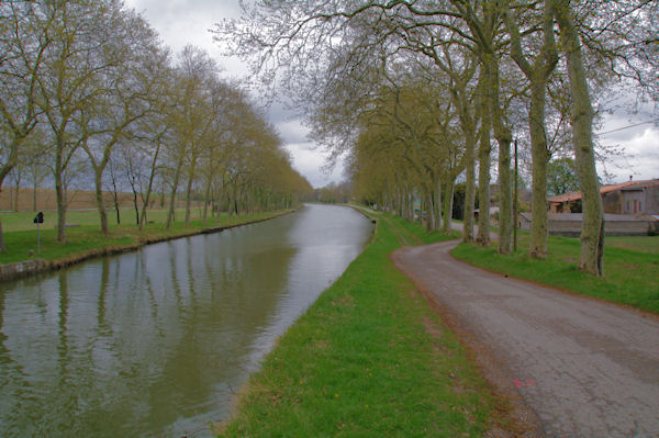 Le Canal du Midi en aval de l_cluse de la Mditerrane