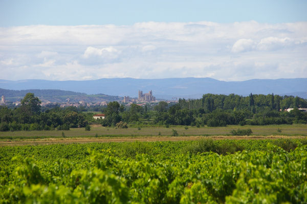 Narbonne et sa cathdrale depuis les Mongettes